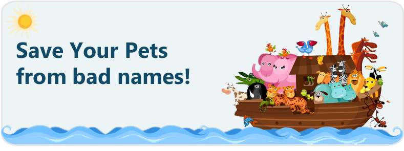 pet names